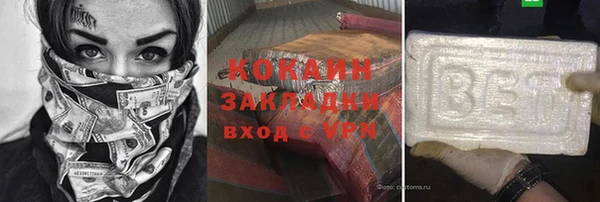 индика Новодвинск