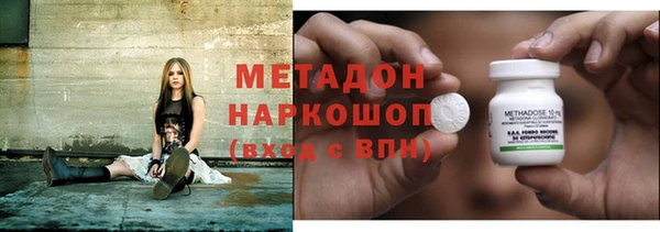 индика Новодвинск