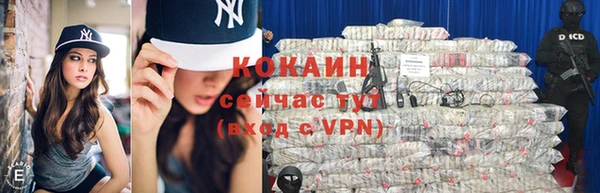 индика Новодвинск