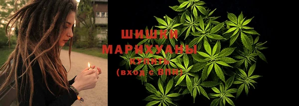 марки lsd Новозыбков