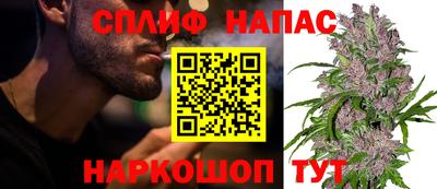 индика Бийск