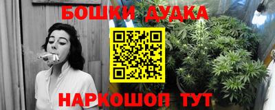 apvp Абакан