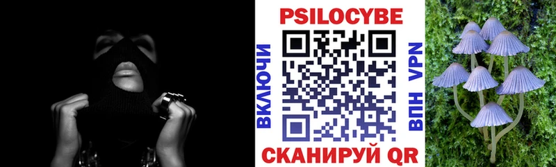 Псилоцибиновые грибы GOLDEN TEACHER  где продают наркотики  Богданович 