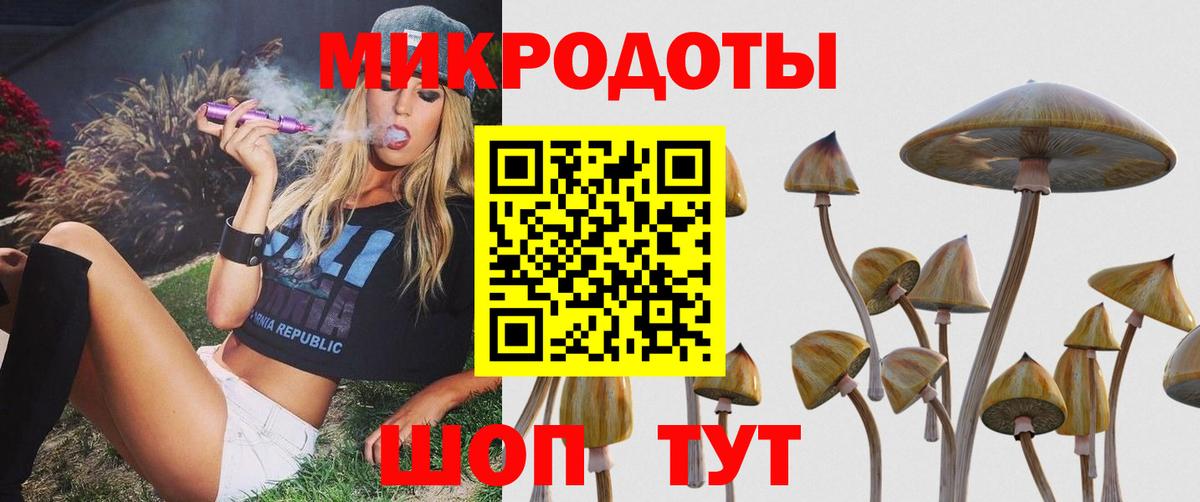 Галлюциногенные грибы Magic Shrooms  Вход с VPN  цена   Псилоцибиновые грибы MAGIC MUSHROOMS  Богданович 