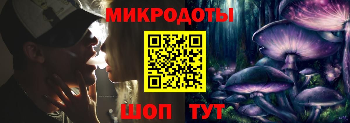Псилоцибиновые грибы мицелий  Галлюциногенные грибы Psilocybe  Богданович 